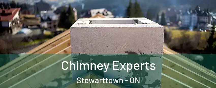  Chimney Experts Stewarttown - ON