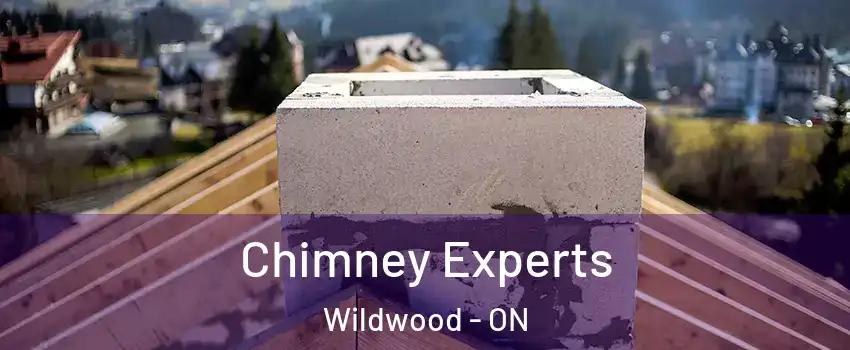  Chimney Experts Wildwood - ON