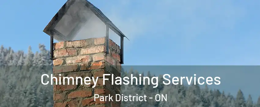  Chimney Flashing Services Park District - ON