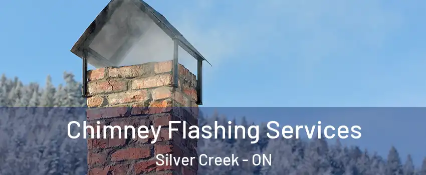 Chimney Flashing Services Silver Creek - ON