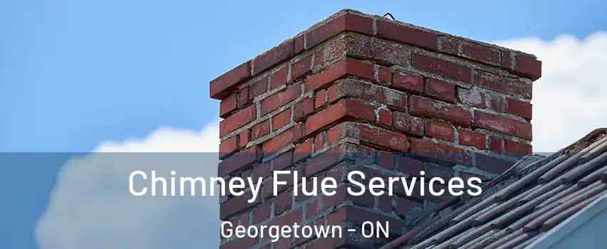 Chimney Flue Services Georgetown - ON
