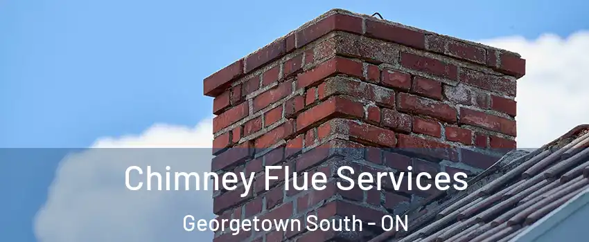  Chimney Flue Services Georgetown South - ON