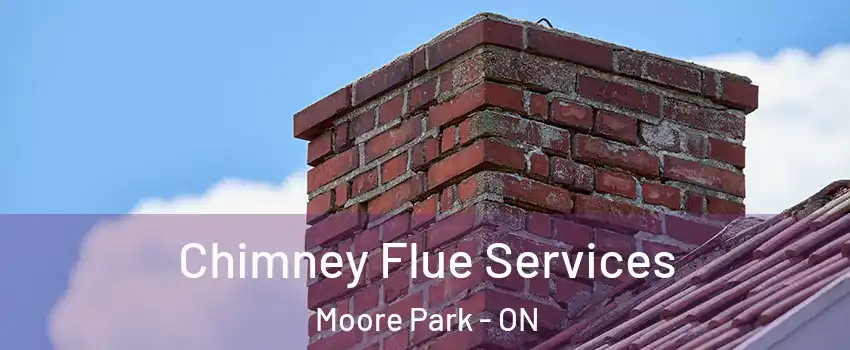 Chimney Flue Services Moore Park - ON