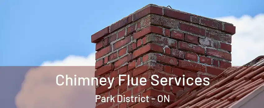  Chimney Flue Services Park District - ON
