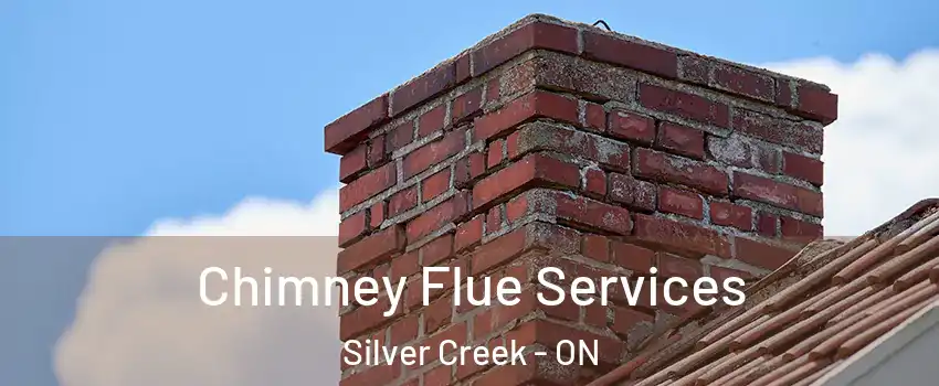 Chimney Flue Services Silver Creek - ON