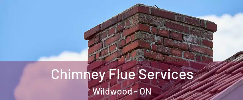  Chimney Flue Services Wildwood - ON