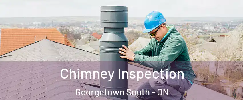 Chimney Inspection Georgetown South - ON