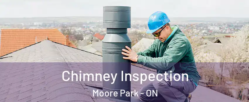 Chimney Inspection Moore Park - ON