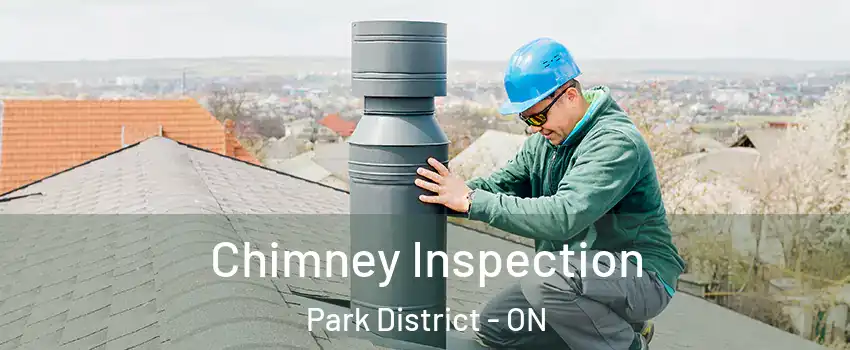  Chimney Inspection Park District - ON
