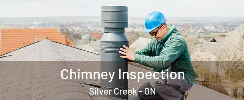  Chimney Inspection Silver Creek - ON