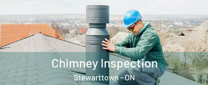  Chimney Inspection Stewarttown - ON