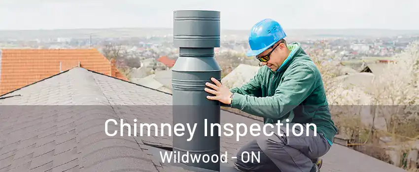 Chimney Inspection Wildwood - ON