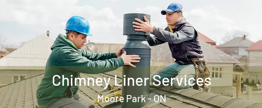 Chimney Liner Services Moore Park - ON