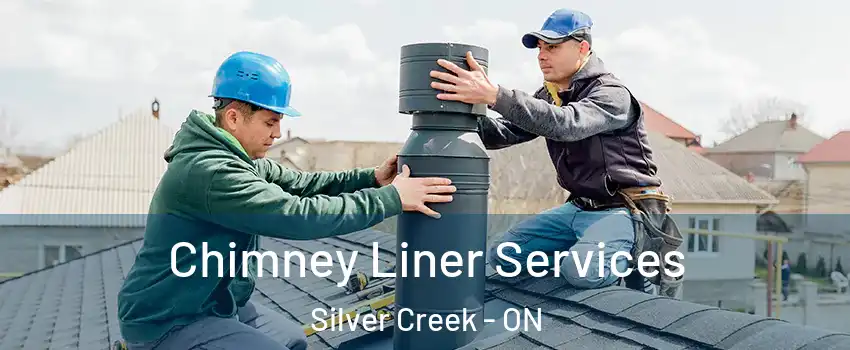 Chimney Liner Services Silver Creek - ON