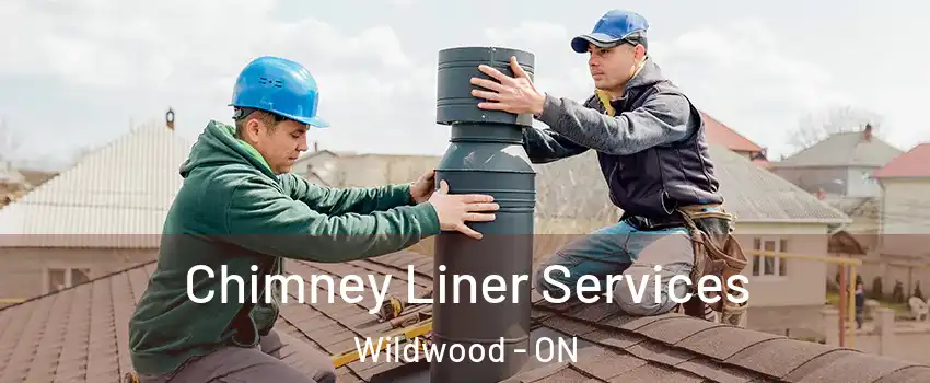  Chimney Liner Services Wildwood - ON