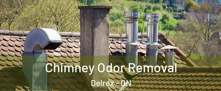 Chimney Odor Removal Delrex - ON