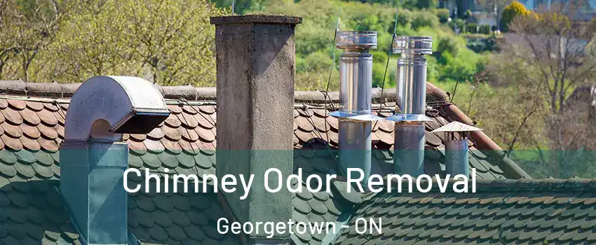 Chimney Odor Removal Georgetown - ON