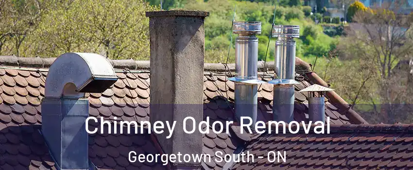 Chimney Odor Removal Georgetown South - ON