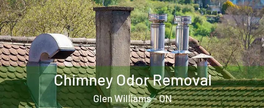 Chimney Odor Removal Glen Williams - ON