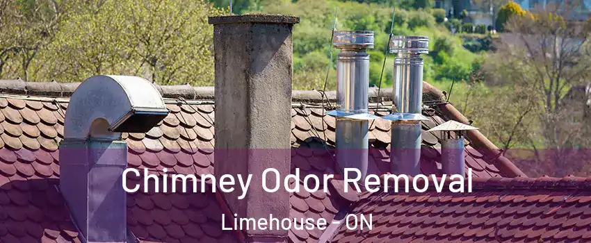 Chimney Odor Removal Limehouse - ON