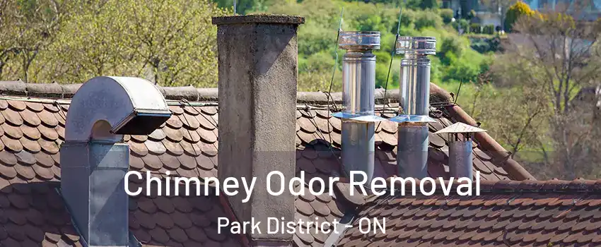 Chimney Odor Removal Park District - ON
