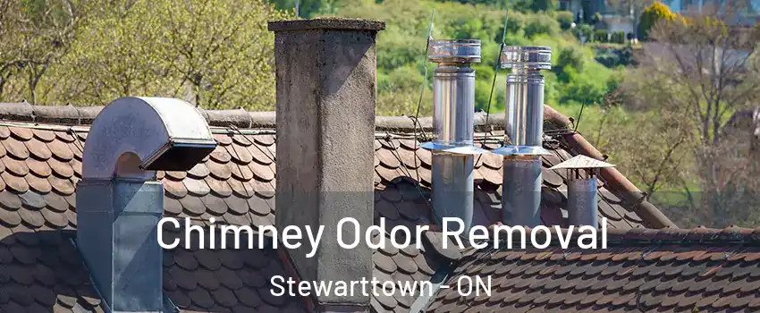 Chimney Odor Removal Stewarttown - ON