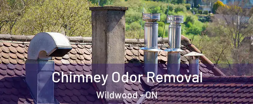 Chimney Odor Removal Wildwood - ON