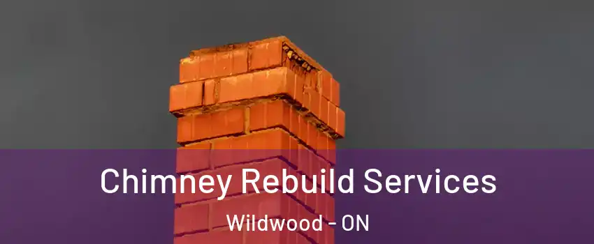 Chimney Rebuild Services Wildwood - ON