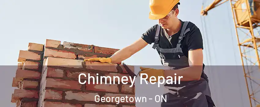  Chimney Repair Georgetown - ON
