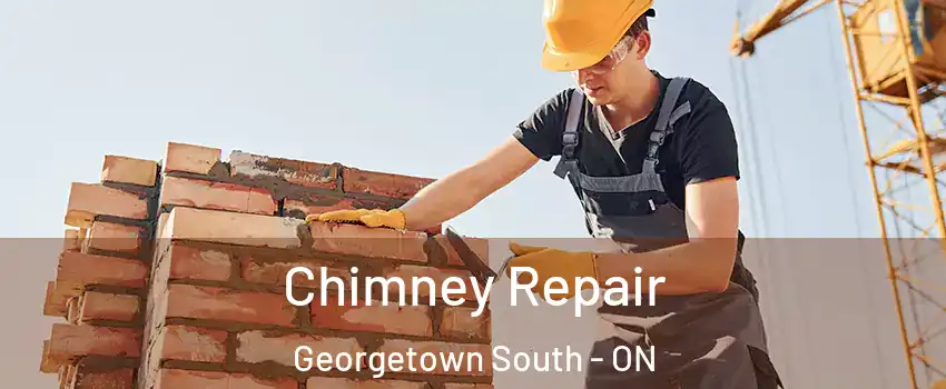  Chimney Repair Georgetown South - ON