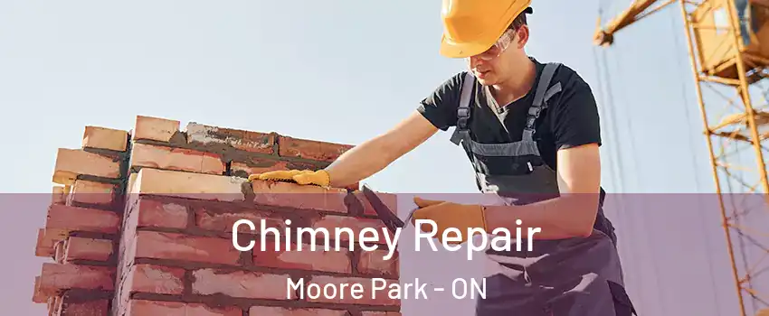  Chimney Repair Moore Park - ON