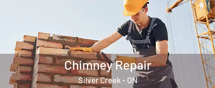 Chimney Repair Silver Creek - ON