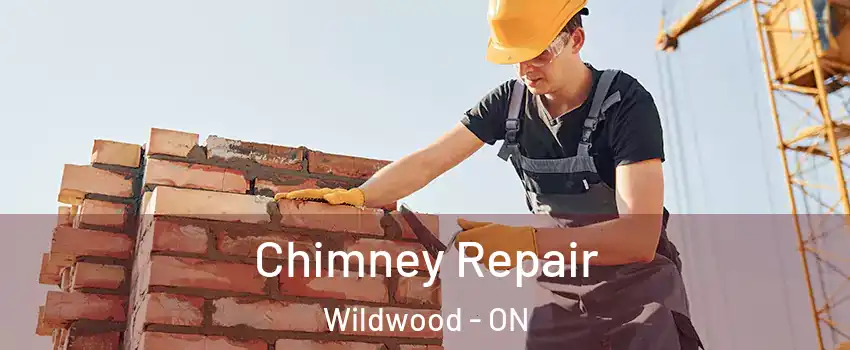 Chimney Repair Wildwood - ON