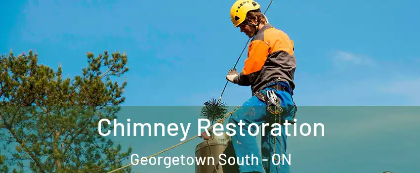 Chimney Restoration Georgetown South - ON