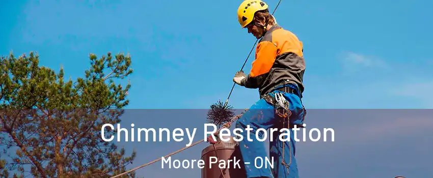 Chimney Restoration Moore Park - ON