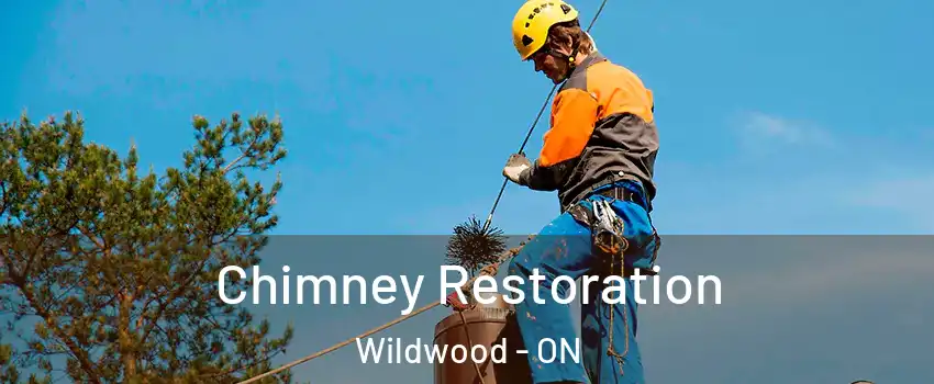  Chimney Restoration Wildwood - ON