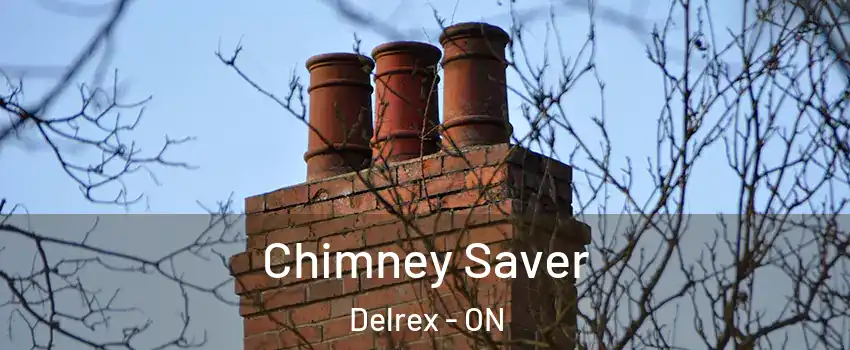  Chimney Saver Delrex - ON