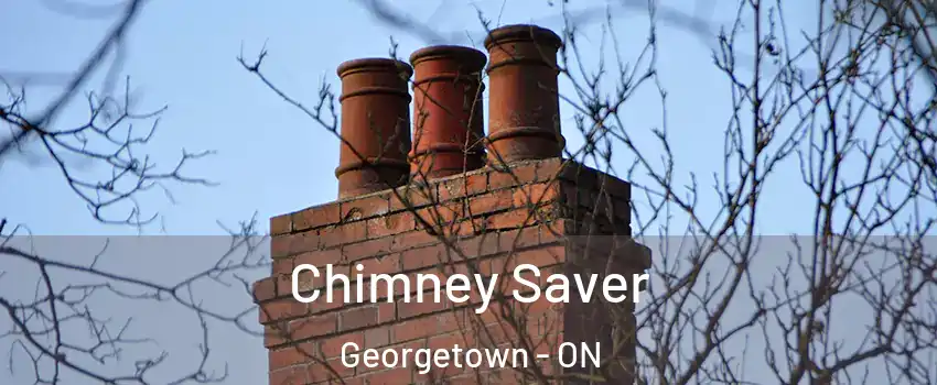 Chimney Saver Georgetown - ON