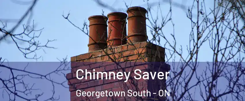  Chimney Saver Georgetown South - ON