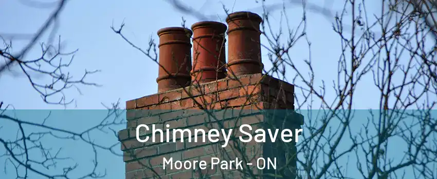 Chimney Saver Moore Park - ON