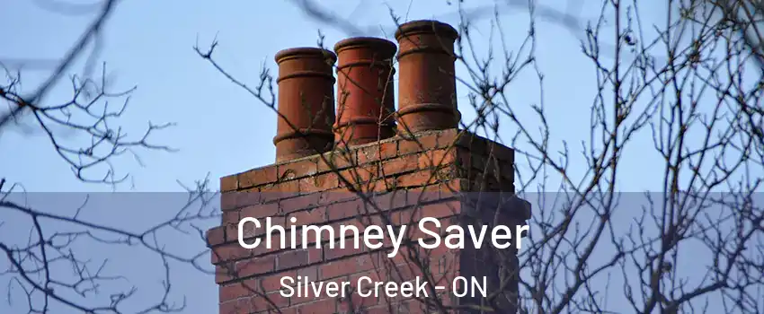 Chimney Saver Silver Creek - ON