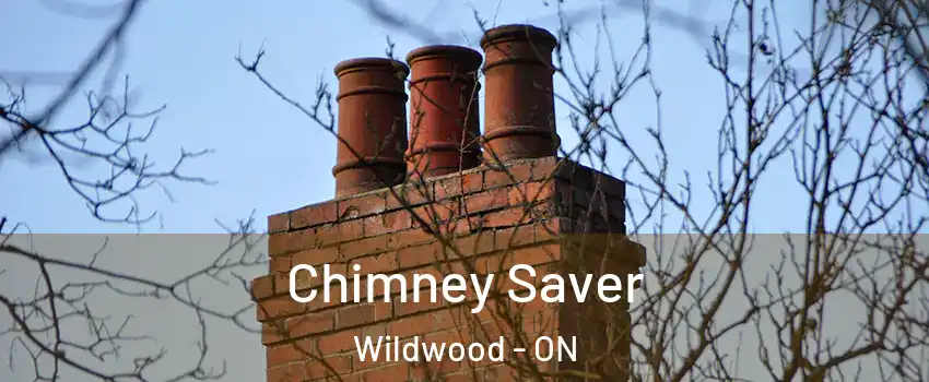  Chimney Saver Wildwood - ON