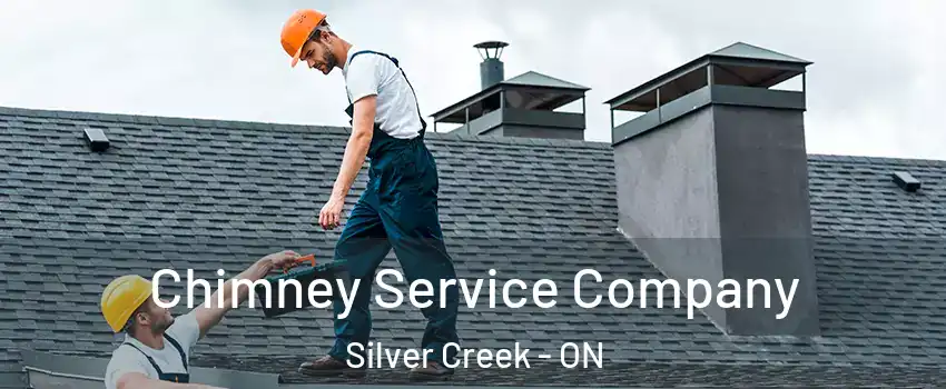 Chimney Service Company Silver Creek - ON