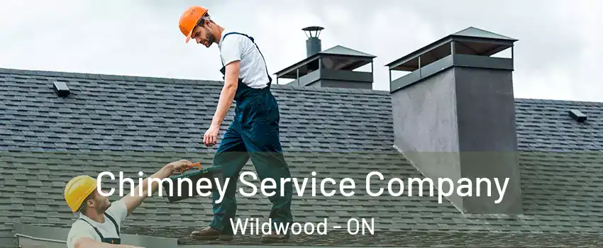  Chimney Service Company Wildwood - ON