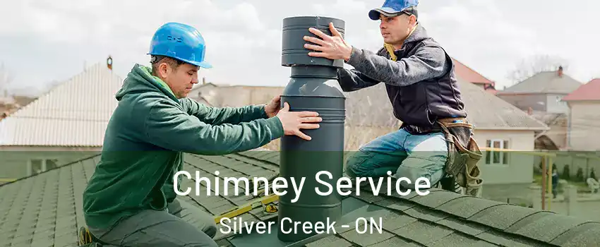 Chimney Service Silver Creek - ON