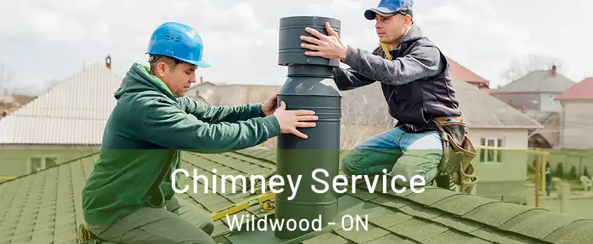  Chimney Service Wildwood - ON
