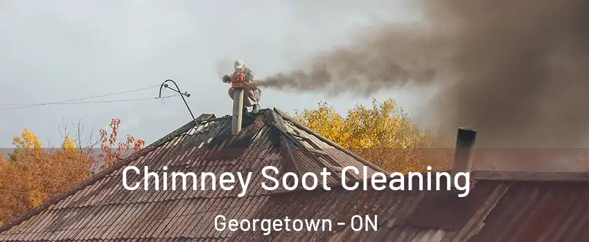 Chimney Soot Cleaning Georgetown - ON