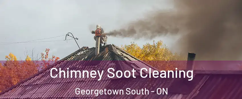 Chimney Soot Cleaning Georgetown South - ON
