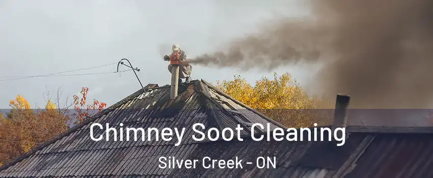  Chimney Soot Cleaning Silver Creek - ON
