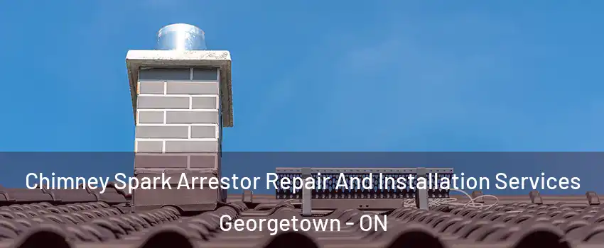  Chimney Spark Arrestor Repair And Installation Services Georgetown - ON